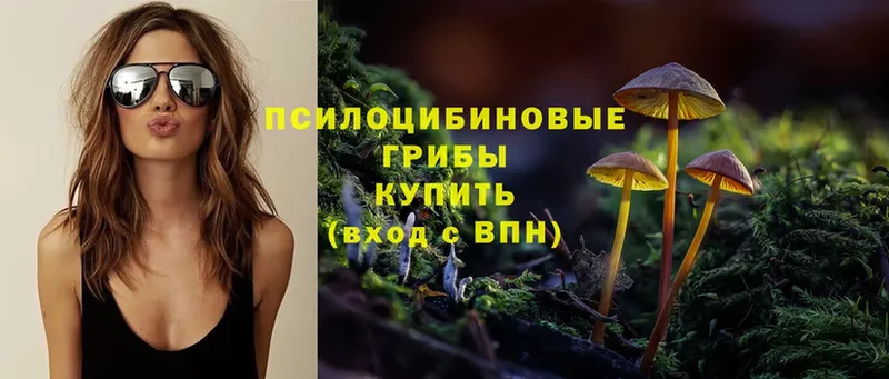 Галлюциногенные грибы Psilocybine cubensis  Артёмовск 